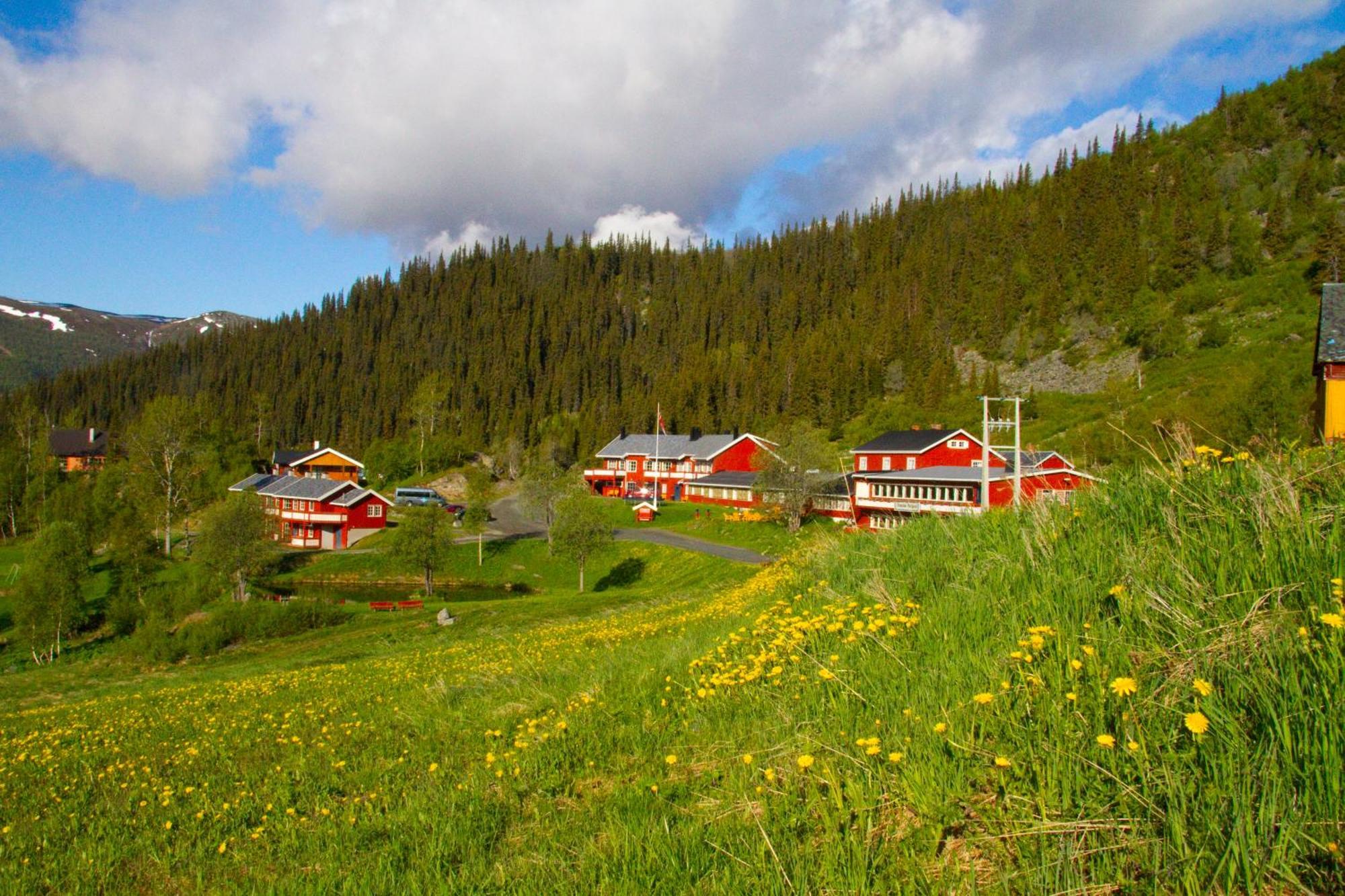 Hotel Gronolen Fjellgard Beitostolen Exterior foto
